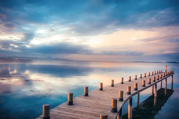 同城法律小程序叫什么软件