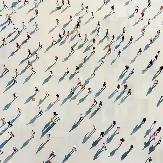 活动冠名权属于什么法律